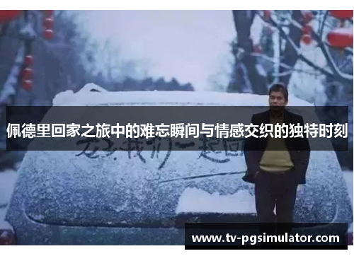 佩德里回家之旅中的难忘瞬间与情感交织的独特时刻