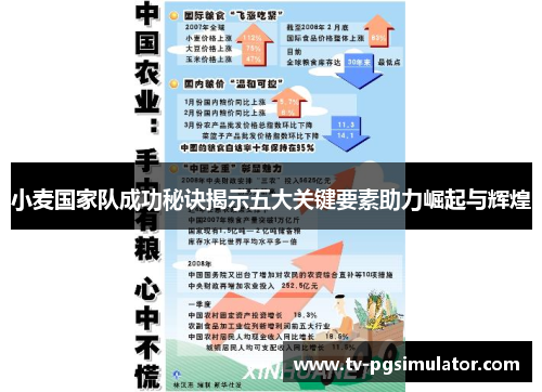 小麦国家队成功秘诀揭示五大关键要素助力崛起与辉煌