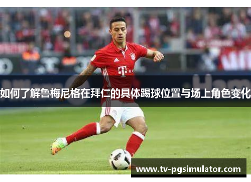 如何了解鲁梅尼格在拜仁的具体踢球位置与场上角色变化