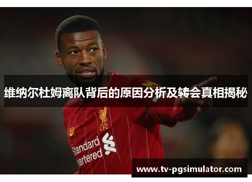 维纳尔杜姆离队背后的原因分析及转会真相揭秘 维纳尔杜姆离队背后的原因分析及转会真相揭秘