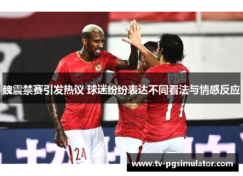 魏震禁赛引发热议 球迷纷纷表达不同看法与情感反应