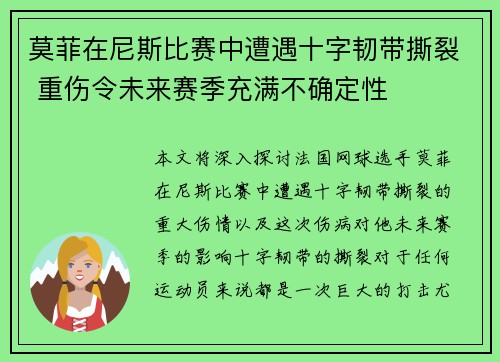 莫菲在尼斯比赛中遭遇十字韧带撕裂 重伤令未来赛季充满不确定性 莫菲在尼斯比赛中遭遇十字韧带撕裂 重伤令未来赛季充满不确定性